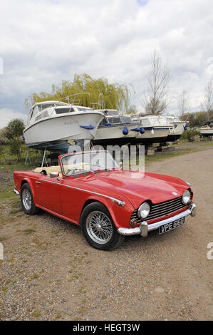 Rote Triumph TR5 in Werft Stockfoto