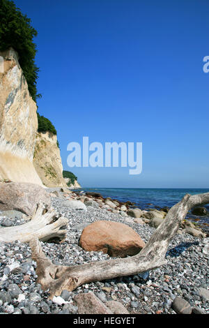 Kreidefelsen und die Küste der Insel Rügen in der Ostsee Stockfoto