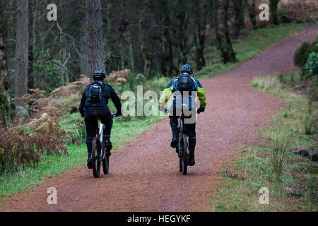 Paar von männlichen Mountain Bike Radfahrer Radfahren entlang dem Wald zu verfolgen, durch den Wald in Thrunton Woods, Northumberland Stockfoto