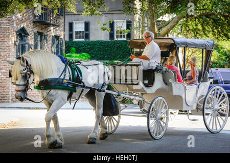 Ein schönes weißes Pferd zieht einen Vintage Wagen zusammen mit einem Reiseleiter und Touristen rund um die historische Innenstadt von Charleston, SC Stockfoto