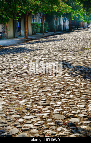 Kopfsteinpflaster Straßenansicht Baum gesäumt Bürgersteig in Charleston SC mit Laub und Moos Stockfoto