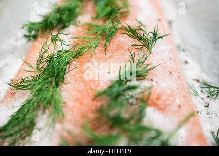 Lachs bedeckt in Zucker und Salz Mischung. So kann der Lachs, Graved Lachs geheilt werden Stockfoto