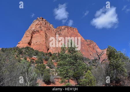 Blick von der Taylor Creek Trail, Kolob Canyons, Zion Nationalpark Stockfoto