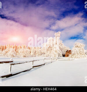 Winterlandschaft mit Schnee in Bergen Karpaten, Ukraine Stockfoto