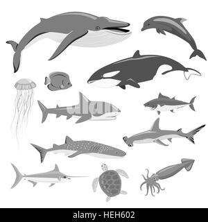 Meeresfauna Satz von Wassertieren. Aquatische Fauna, Fischfauna Wildlife Ozean oder Meer, Unterwasser-Aquarium exotisches Leben Fauna, Stock Vektor