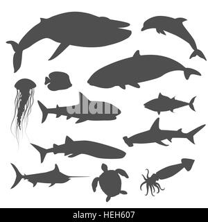 Meeresfauna Satz von Wassertieren. Aquatische Fauna, Fischfauna Wildlife Ozean oder Meer, Unterwasser-Aquarium exotisches Leben Fauna, Stock Vektor