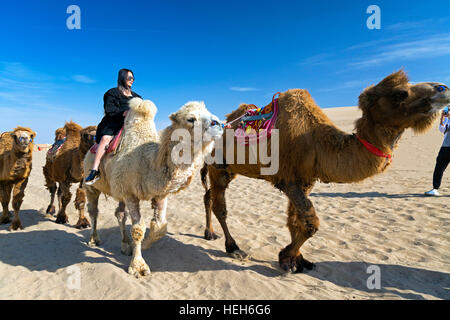 Touristen und Kamele auf Sand Lake, Shizuishan, Ningxia, China Stockfoto