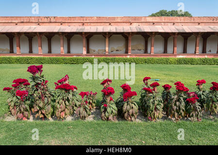 Diwan-i-Aam Hof, Fatehpur Sikri, Indien Stockfoto