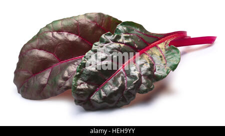 Blätter von Mangold oder Mangold (Beta Vulgaris Subspecies Cicla-Gruppe). Beschneidungspfade, Schatten getrennt Stockfoto