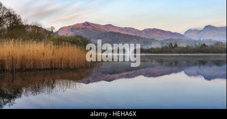 Lake Elter Water in der Nähe von Elterwater in Great Langdale Cumbria im englischen Lake District Stockfoto