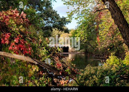 Eine alte Brücke, gesehen durch Herbstlaub in Oklahoma City, OK Stockfoto