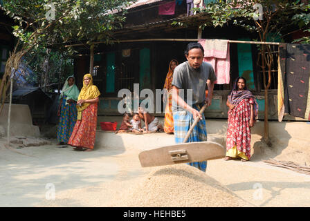 Madhabpasa: Haus im Dorf; Man breitet sich Reis, trocken, Barisal Division, Bangladesch Stockfoto