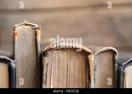 Alte Bücher auf Holzbohlen, Weichzeichner, Kopie-Raum Stockfoto