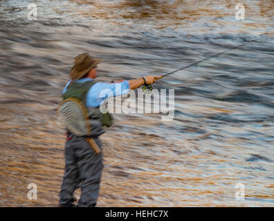 Fly Fisherman casting für Forellen in Boise River, Boise, Idaho, USA Stockfoto