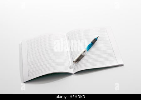 Stift auf gefütterte Leerseite eines offenen Notebooks liegen Stockfoto