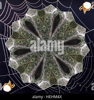 Kaleidoskop aus Spinnweben Stockfoto