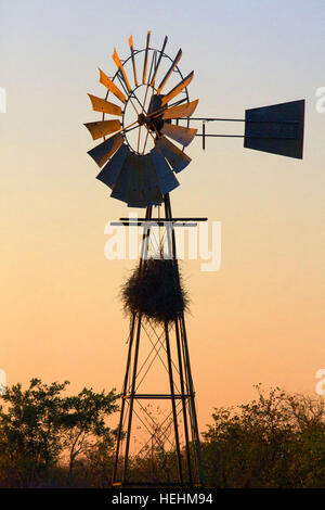 Nest in Windmühle in Morgensonne in Afrika Stockfoto