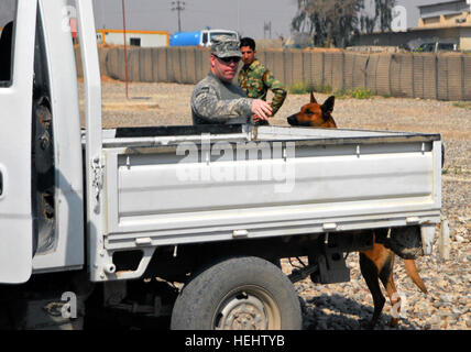 Rronnie und seinem Führer, Staff Sgt Michael Hile mit 527th Military Police Company, 709th Military Police Battalion, 18. Military Police Brigade, die aus Prineville, Oregon/USA, Suche ein Fahrzeug mit einem versteckten Tütchen von C4 als Teil einer Demonstration am Combat Outpost Speer 6 April inszeniert stammt. Hile und seinen vierbeinigen Begleiter angezeigt ihre Teamarbeit für Suche, Angriff und Begleitung zum 2. Bataillon, 6. Brigade, 2. irakische Armee-Division, die militärische Arbeitshunde in der Zukunft nutzen können. Militärische Working Dog Rronnie sucht ein Fahrzeug Stockfoto