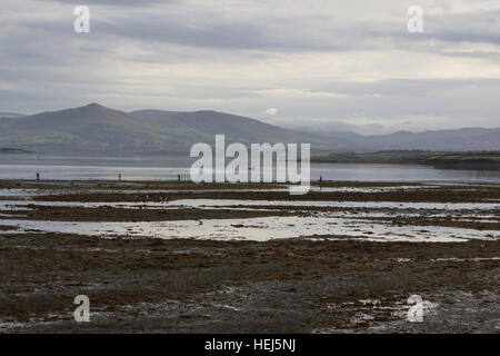 Die Küste bei Portmagee, County Kerry, Irland auf der Suche nach Cahersiveen. Stockfoto