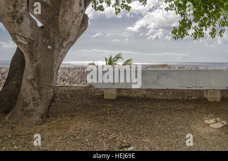 Der schöne Strand Playa Kalki Eingang auf den niederländischen Antillen Insel Curaçao in der Karibik Stockfoto