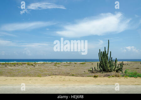 Trockene Wüstenlandschaft mit Kakteen und einheimischen Pflanzen in Aruba-Insel in der Karibik Stockfoto