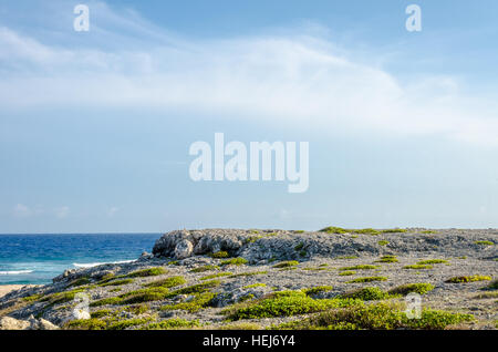 Trockene Wüstenlandschaft mit Meer als Hintergrund in Aruba-Insel in der Karibik Stockfoto