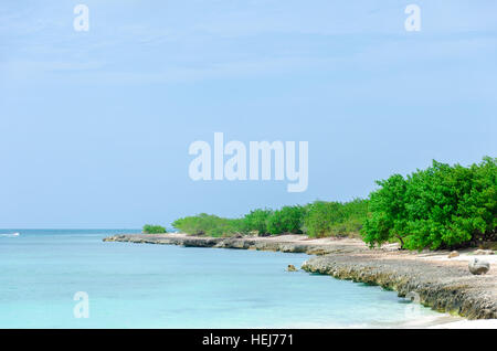 Panoramablick auf die Aufnahme von Eagle Beach, Aruba in der Karibik. Stockfoto