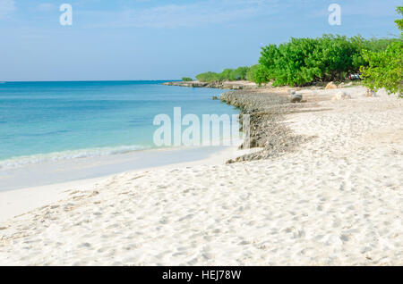Panoramablick auf die Aufnahme von Eagle Beach, Aruba in der Karibik. Stockfoto