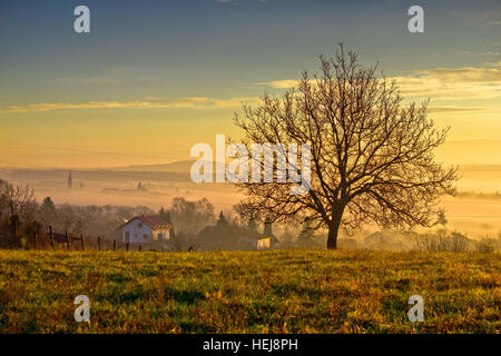 Stadt von Krizevci und Landschaft im Morgennebel, Prigorje Region in Kroatien Stockfoto