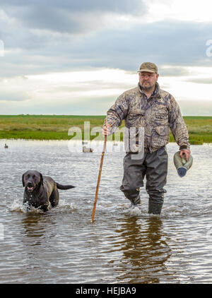 Eine UK Wildfowler oder Ente Jäger, Platzierung Köder auf dem Wasser mit einem Planschbecken Pol und gefolgt von seinem Hund Stockfoto