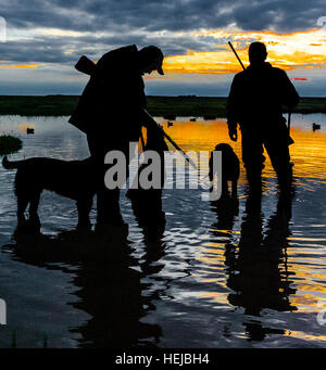 Silhouette von UK Wasserwildjäger oder Ente schützen und Hunde nach einem Tag beim Schießen auf die Sümpfe Stockfoto