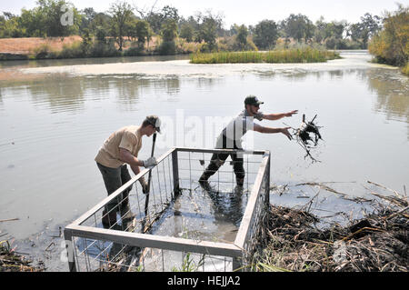 BLACK BUTTE LAKE, Kalifornien (26. September 2009) – James Elsberry (links), ein Bauingenieur mit den Sacramento District, Army Corps of Engineers arbeiten mit Seth Jantzen, Parkwächter am Black Butte Lake, hatte am 26. September aufräumen einen Staudamm Hochwasserentlastung Pool ablassen, die durch beschäftigt Biber verstopft worden. Jantzen wurde im Rahmen des National Public Lands Day Freiwilligenarbeit. US Army 51697, die das Korps Black Butte Lake National Public Lands Day mit feiert Parken Bereinigung, neue Scheibe Golfplatz Stockfoto