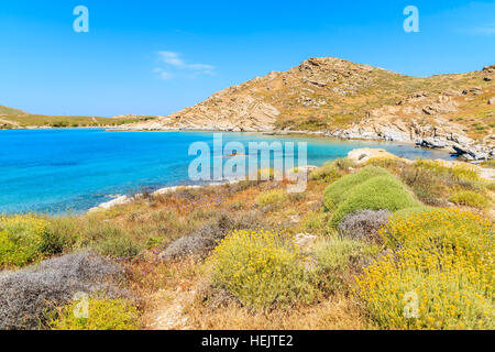 Frühlingsblumen auf schönen Küste in Monastiri Bucht auf der Insel Paros, Griechenland Stockfoto