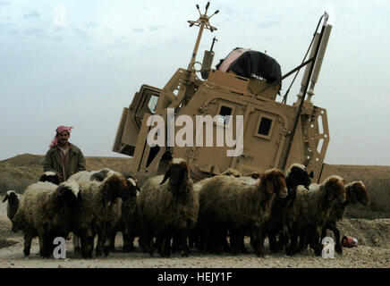 Ein Hirte führt seine Herde vorbei an einer Mine-resistente, Ambush Protected LKW in eine Doline in der Provinz Ninewa, Jan. 18 verstrickt. Die Pistole LKW gehört zu Soldaten mit 3rd Platoon, 204. Military Police Company, 519th MP-Bataillon, mit Sitz in Fort Polk, Louisiana Mitglieder der Q-West schnelle Eingreiftruppe zur Gewinnung von Fahrzeugen - besetzt mit C Company, 2. Bataillon, 198. kombinierte Waffen, 155. Brigade Combat Team aus Oxford und Indianola, Mississippi - erholte sich das Fahrzeug. Mississippi Gardisten erholen Fahrzeuge im gesamten nördlichen Irak 245589 Stockfoto