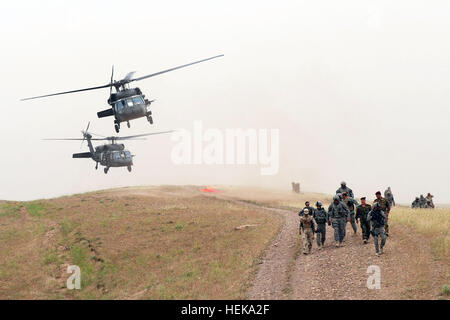 Der Multi-National Division-North-Befehl-Mitarbeiter wurden geflogen UH-61 Blackhawk-Hubschrauber von FOB Marez, Mosul, Irak, Gaugamela, Irak, am 9. Mai, wo Alexander der große 331 v. Chr. einmal eine epische Schlacht gekämpft. Schlacht von Gaugamela 171952 Stockfoto