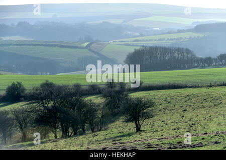 Brighton, UK. 22. Dezember 2016. Ein heller, sonniger Morgen in Mid Sussex heute © Andrew Hasson/Alamy Live-Nachrichten Stockfoto