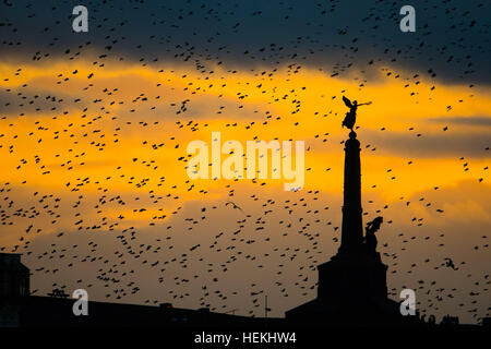 Aberystwyth, Wales, UK. 22. Dezember 2016. UK-Wetter. Am Ende eines bedeckt und kalten Dezembertag durchführen zehntausend Stare dramatische Murmurations über Aberystwyths legendären Kriegerdenkmal, vor dem Abstieg zur Masse zusammen und Schlafplatz sicher für die Nacht auf den gusseisernen Beinen unterhalb der Stadt viktorianischen Seestadt Pier. © Keith Morris / Alamy Live News Stockfoto