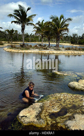 Stuart, Florida, USA. 23. Dezember 2016. 051607 Tc traf 1of4 reinigen 0038197A Meghan McCarthy/The Palm Beach Post CLO-Stuart-Florida ozeanographische Coastal Center Aquarium Techniker Dawn Cline reinigt Algen aus der 750.000 Gallone Spiel Fisch Lagune Mittwoch. Cline reinigt die Lagune zweimal in der Woche, weil die konstanten Wasserfluss aus Stuart Beach und das Fehlen von Schatten ein ideales Umfeld für eine schwere Algenblüten schafft. Cline sagt, dass die Algen Reinigung Gäste, vor Ort die Snook, Tarpon und Rotbarsch ermöglicht, die in der Lagune Leben. "Mein Job ist sicher, die Algen nur wächst, '' sagte Cline. NICHT Stockfoto