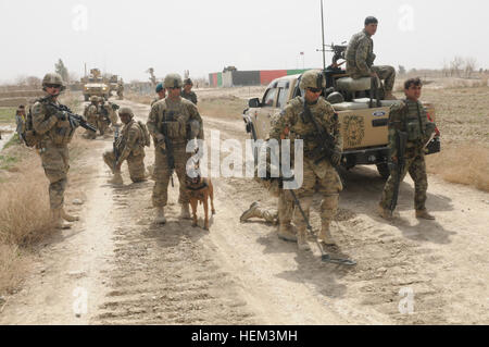 Während ein Straßenbau-Mission, die in Kandahar Provinz Soldaten aus Charlie Kompanie 18 März begann, 2nd Battalion, 508. Fallschirm-Infanterie-Regiment, 4th Brigade Combat Team, 82nd Airborne Division ziehen Sicherheit zusammen mit afghanischen nationalen Sicherheitskräfte während Mitglieder der Alpha Company, 508. spezielle Truppen Bataillon, 4th Brigade Combat Team, 82nd Airborne Division und einem Hundegespann überprüfen Sie den Pfad für Sprengstoffe. Charlie Kompanie löscht Weg zur Sicherheit 556084 Stockfoto