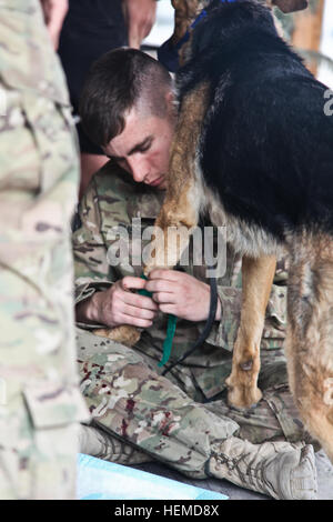 SPC. Uzziah Bussie, Bravo Company, 1. Bataillon, 327th Infanterie-Regiment zugewiesen wickelt das Bein von einem militärischen Gebrauchshund während Sanitäter Ausbildung bei nach vorn Operating Base Finley Shields, Provinz Nangarhar, Afghanistan, 11. Januar 2013. Der militärische Gebrauchshund Medic training wird gehalten, um Mediziner beibringen, wie man richtig behandeln militärischen Arbeitshunde im Feld. (US Armee-Foto von Spc. Ryan Hallgarth/freigegeben) Militärischer Arbeitshund Medic training 130111-A-BX842-027 Stockfoto