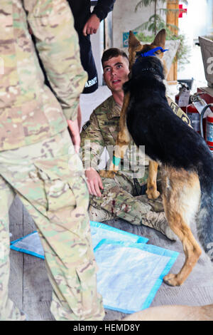 SPC. Uzziah Bussie, Bravo Company, 1. Bataillon, 327th Infanterie-Regiment zugewiesen gibt eine Klasse, die detailliert der richtigen Verfahren zu folgen, wenn ein militärischer Arbeitshund während Sanitäter Ausbildung bei nach vorn Operating Base Finley Shields, Behandlung von Provinz Nangarhar, Afghanistan, 11. Januar 2013. Der militärische Gebrauchshund Medic training wird gehalten, um Mediziner mit Behandlung richtig militärischen Arbeitshunde im Bereich vertraut zu machen. (US Armee-Foto von Spc. Ryan Hallgarth/freigegeben) Militärischer Arbeitshund Medic training 130111-A-BX842-030 Stockfoto