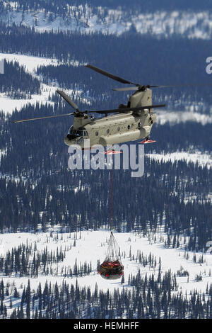 Flieger aus dem 1. Bataillon, unterstützt 52. Aviation Regiment "Sugarbears" des National Park Service 26 April durch den Transport von Ausrüstung und Zubehör auf 7.200 Fuß Kahiltna Gletscher für Kletterer versuchen Mount McKinley in diesem Sommer ein Basislager einrichten. Die Kletter-Saison beginnt die erste Woche im Mai und endet in der Regel Ende Juli. Den Transport der Ladung war auch vorteilhaft für die Soldaten der US-Armee Alaska Aviation Task Force in Form von Höhentraining an wenigen anderen Orten zur Verfügung. (US Army Foto/John Pennell) Armee-Flieger unterstützen National Park Service 13042 Stockfoto