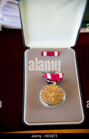 Nahaufnahme der Meritorious Service Medal verliehen an Command Sergeant Major Phillip L. Dixon bevor Supreme Headquarters Allied Powers in Europa (SHAPE) Bataillon Befehl Zeremonie zwischen Oberstleutnant Paul D. Sherman, Command Sergeant Major Phillip L. Dixon (ausgehende Befehl Team) und Oberstleutnant Sean G. Barrett, Command Sergeant Major Tiffany C. Basley (eingehende Befehl Team) ändern im Berichtsjahr von Oberst Robert S. Larsen , Vereinigte Staaten Armee NATO Brigade im SHAPE, Belgien, 23. Mai 2013. (US Armee-Foto von Pierre-Etienne Courtejoie-freigegeben) Änderung der Befehl Zeremonie, Form Bataillon 130523-A-BD Stockfoto