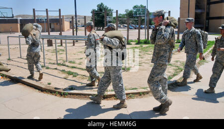 Soldaten der Hauptquartier- und Hauptquartierkompanie, 1. Bataillon, 8. Infanterieregiment, 3. Panzerbrigade Combat Team, 4. Infanteriedivision, nahmen am 11. Juli 2013 an einem Sandbag-Carry-Team teil. Die Übung förderte die körperliche Fitness, Teamarbeit und Koordination zwischen den Mitgliedern der Einheit. Stockfoto