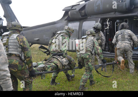 Portugiesische Armeesoldaten des 7. portugiesischen nationalen Kontingenz Transports ein fiktiv verwundeter Soldat, ein UH-60 Black Hawk Hubschrauber für eine medizinische Evakuierung während einer militärischen Beratungsteam (MAT)-Übung auf der Joint Multinational Readiness Center in Hohenfels, Deutschland, 19. September 2013. Die Matte soll vorbereiten, trainieren und bewerten die 7. portugiesischen nationalen Kontingenz-Einheit für Aufstandsbekämpfung, Bekämpfung Beratungs- und Kraft ermöglicht Operationen in Afghanistan.  Die JMRC ist der US-Armee nur im Ausland Manövers Ausbildungszentrum und regelmäßig trainiert, USA und multinat Stockfoto