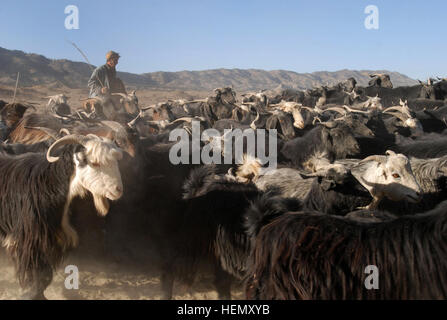 071109-A-2013C-086 eine afghanische Hirte pfeift und schreit seine Ziegenherde gemeinsam bewegen, indem man eine 173. Luftlandebrigade Patrol base im östlichen Provinz Paktika, Afghanistan, 9. November zu halten. (Foto: U.S. Army Spc. Micah E. Clare) Afghanischen Hirten und seiner Herde Stockfoto