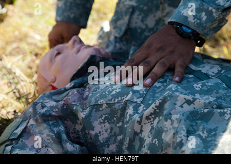 US Army Pvt. Pablo Chang, zugewiesene 55. Signal Company (Combat Camera), prüft ein mock Opfer für die Atmung in Fort Meade, Maryland, 17. Oktober 2013.  Soldaten wurden mit Bewertung der Opfer und eine neun-Linie medizinische Evakuierung aufrufen beauftragt.  (US Armee-Foto von Sgt. Kristina Truluck/freigegeben) Armee Krieger Ausbildung 131017-A-VB845-229 Stockfoto