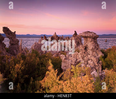 Mono Lake Kalifornien Stockfoto