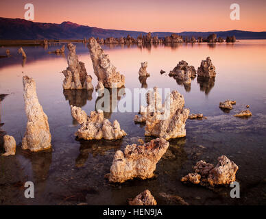 Mono Lake Kalifornien Stockfoto