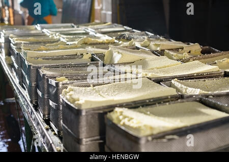 Fertige Milchprodukt am Fließband Stockfoto